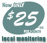 Local Monitor Only $20 montly